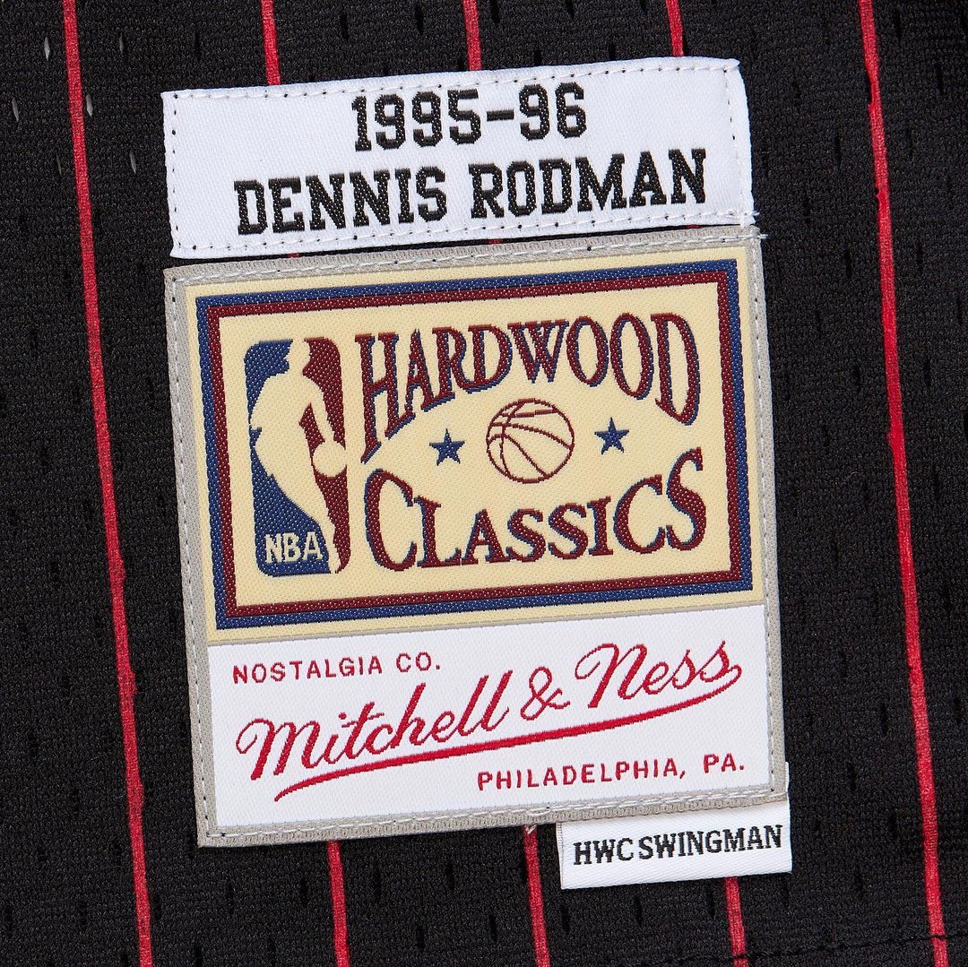 Dennis Rodman Chicago Bulls Youth 1995/96 Swingman Jersey - Black