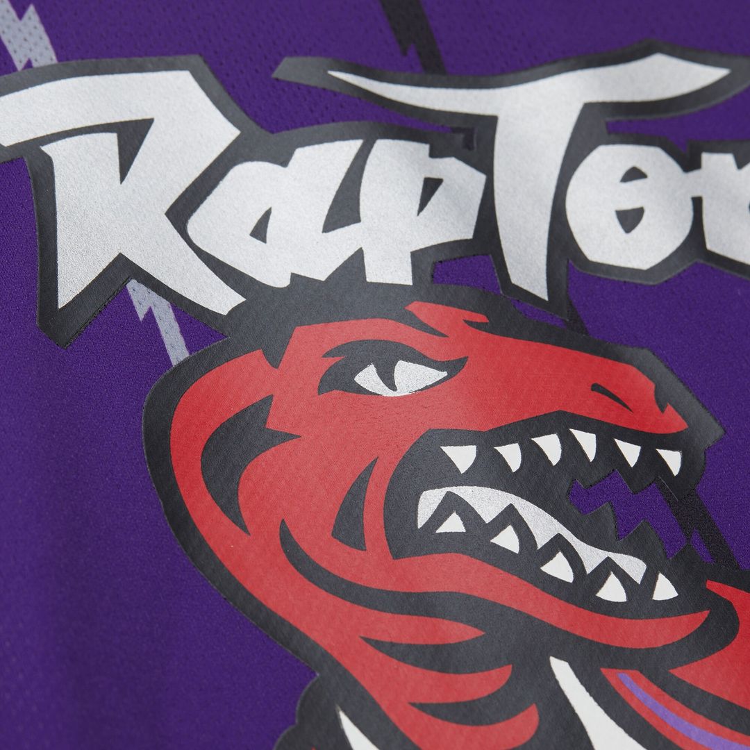 Vince Carter Toronto Raptors Mitchell & Ness Unisex Maxxed Out Fashion Hockey Jersey - Purple